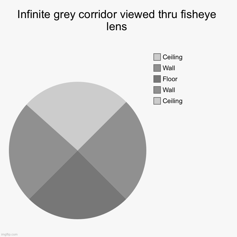 Infinite grey corridor viewed thru fisheye lens | Infinite grey corridor viewed thru fisheye lens | Ceiling, Wall, Floor, Wall, Ceiling | image tagged in charts,pie charts,infinite | made w/ Imgflip chart maker