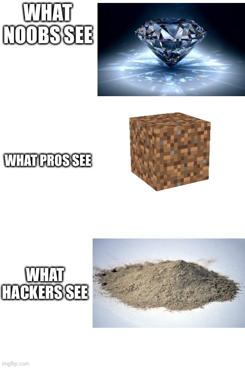 Minecraft logic lololol | WHAT NOOBS SEE; WHAT PROS SEE; WHAT HACKERS SEE | image tagged in blank white template | made w/ Imgflip meme maker