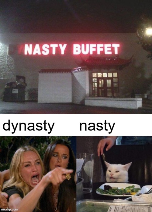 nasty | dynasty; nasty | image tagged in memes,woman yelling at cat,neon signs,fail,you had one job | made w/ Imgflip meme maker