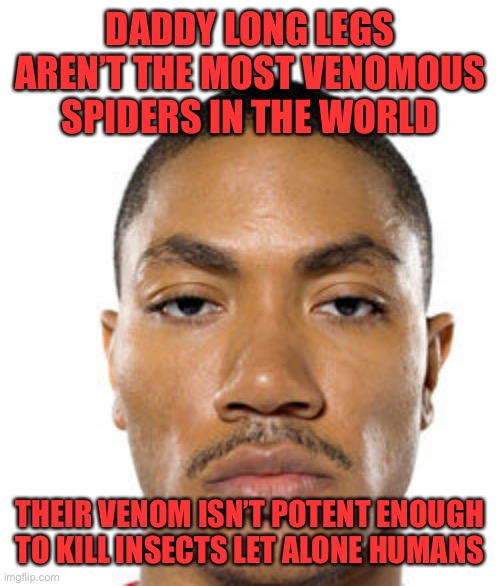 Cry about it | DADDY LONG LEGS AREN’T THE MOST VENOMOUS SPIDERS IN THE WORLD; THEIR VENOM ISN’T POTENT ENOUGH TO KILL INSECTS LET ALONE HUMANS | image tagged in cry about it | made w/ Imgflip meme maker