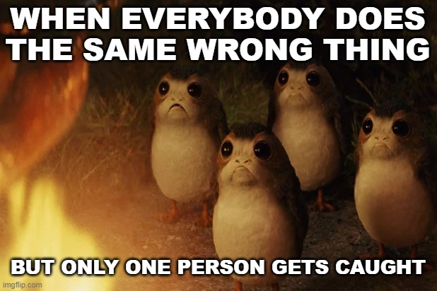 That moment when... | WHEN EVERYBODY DOES THE SAME WRONG THING; BUT ONLY ONE PERSON GETS CAUGHT | image tagged in star wars porg,porg,wrong,caught in the act,caught | made w/ Imgflip meme maker