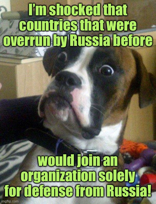 Blankie the Shocked Dog | I’m shocked that countries that were overrun by Russia before would join an organization solely for defense from Russia! | image tagged in blankie the shocked dog | made w/ Imgflip meme maker