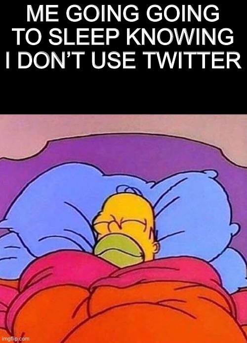 Homer Simpson | ME GOING GOING TO SLEEP KNOWING I DON’T USE TWITTER | image tagged in homer simpson sleeping peacefully | made w/ Imgflip meme maker