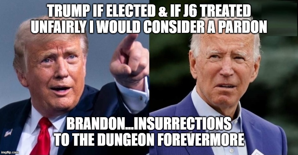 Trump Brandon Capitol Riot POV political prisoners Insurrection | TRUMP IF ELECTED & IF J6 TREATED UNFAIRLY I WOULD CONSIDER A PARDON; BRANDON...INSURRECTIONS TO THE DUNGEON FOREVERMORE | image tagged in trump translation win count lose don't count | made w/ Imgflip meme maker