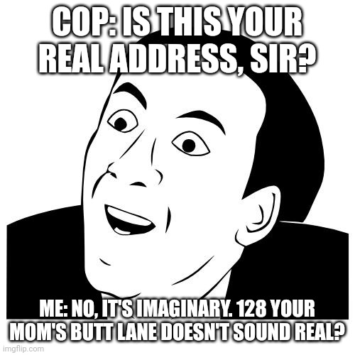 you don't say | COP: IS THIS YOUR REAL ADDRESS, SIR? ME: NO, IT'S IMAGINARY. 128 YOUR MOM'S BUTT LANE DOESN'T SOUND REAL? | image tagged in you don't say | made w/ Imgflip meme maker