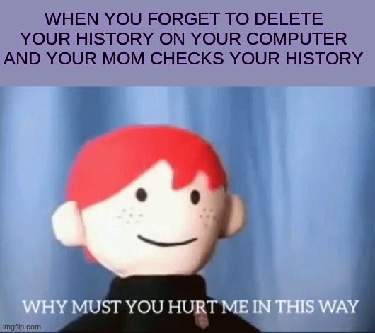 oof | WHEN YOU FORGET TO DELETE YOUR HISTORY ON YOUR COMPUTER AND YOUR MOM CHECKS YOUR HISTORY | image tagged in why must you hurt me in this way | made w/ Imgflip meme maker