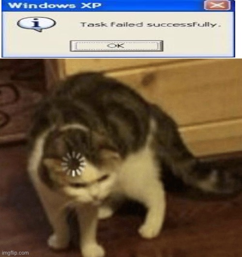 ... wut? | image tagged in cat loading template | made w/ Imgflip meme maker