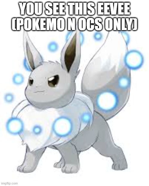 SHINY EEVEE RP | YOU SEE THIS EEVEE (POKEMO N OCS ONLY) | image tagged in eevee | made w/ Imgflip meme maker