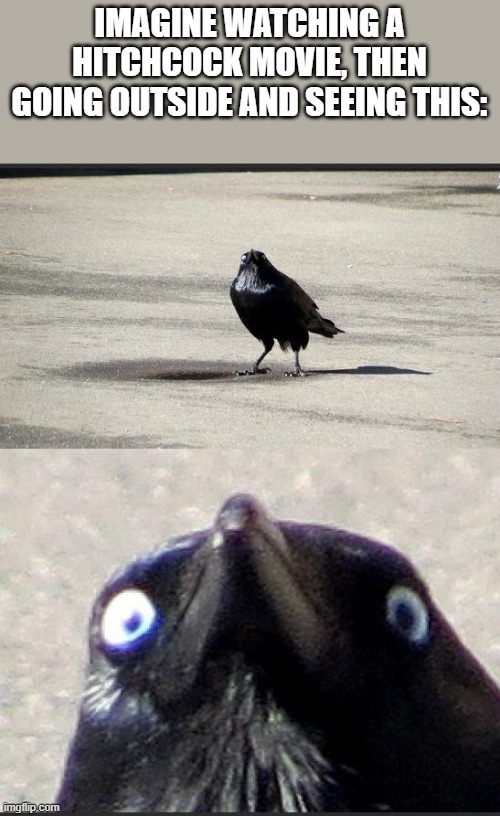 You really gotta know your movies for this one | IMAGINE WATCHING A HITCHCOCK MOVIE, THEN GOING OUTSIDE AND SEEING THIS: | image tagged in insanity crow,alfred hitchcock | made w/ Imgflip meme maker