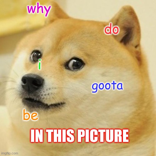 in the picure | why; do; i; goota; be; IN THIS PICTURE | image tagged in memes,doge | made w/ Imgflip meme maker