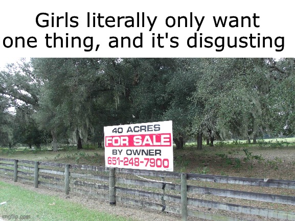 Girls literally only want one thing, and it's disgusting | image tagged in memes | made w/ Imgflip meme maker