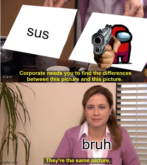 They're The Same Picture | sus; bruh | image tagged in memes,they're the same picture | made w/ Imgflip meme maker