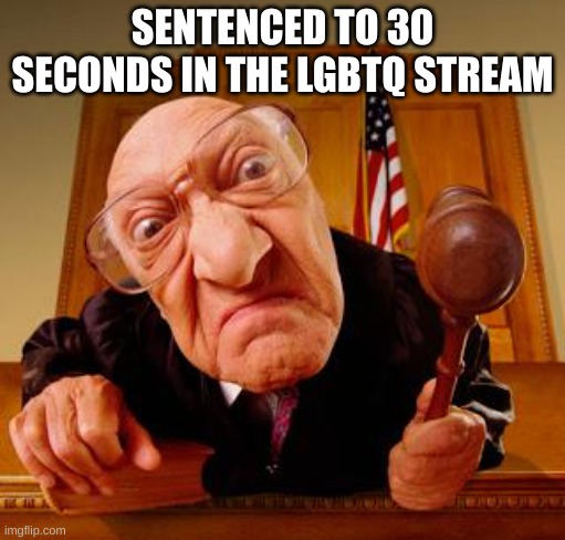 Mean Judge | SENTENCED TO 30 SECONDS IN THE LGBTQ STREAM | image tagged in mean judge | made w/ Imgflip meme maker