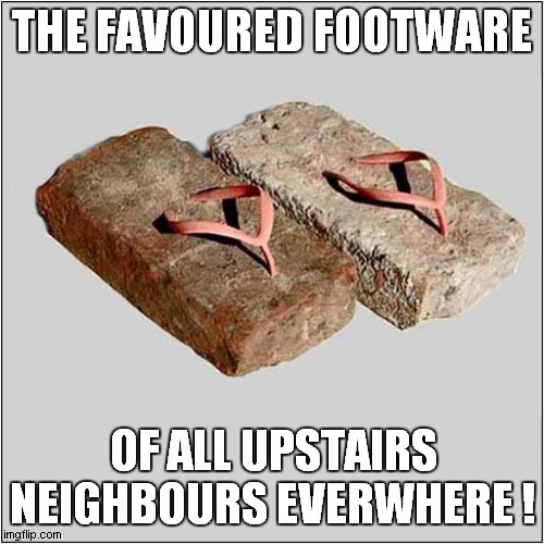 They Can't All Be Fans Of The Flintstones ! | THE FAVOURED FOOTWARE; OF ALL UPSTAIRS
NEIGHBOURS EVERWHERE ! | image tagged in flintstones,annoying neighbours,stone,flip flops | made w/ Imgflip meme maker