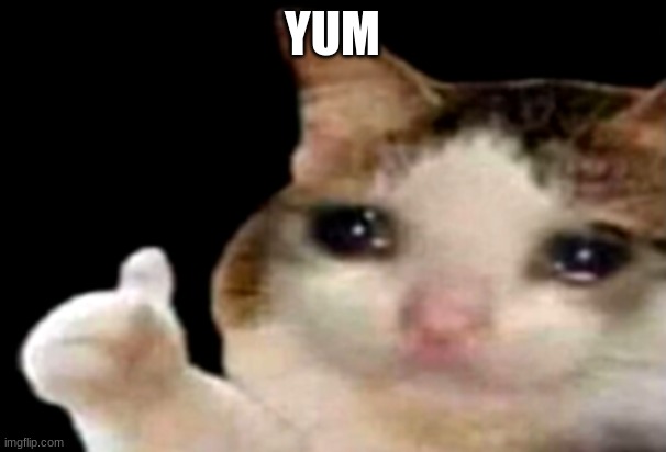 Sad cat thumbs up | YUM | image tagged in sad cat thumbs up | made w/ Imgflip meme maker