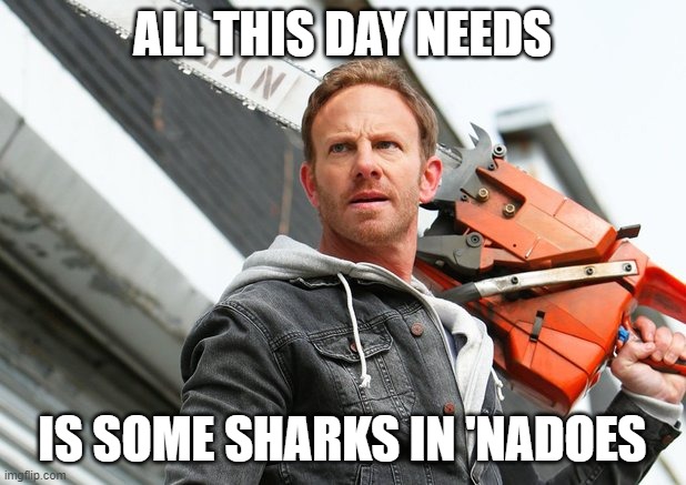 Sharknado2 | ALL THIS DAY NEEDS; IS SOME SHARKS IN 'NADOES | image tagged in sharknado2,sharknado,bad day,ridiculous | made w/ Imgflip meme maker