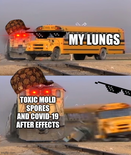 MOLD+COVID-19= PROBLEMS | MY LUNGS; TOXIC MOLD SPORES AND COVID-19 AFTER EFFECTS | image tagged in a train hitting a school bus,mold,covid-19,abatement | made w/ Imgflip meme maker