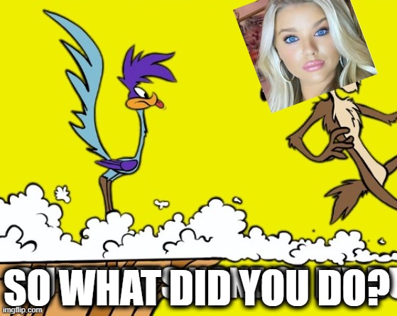SO WHAT DID YOU DO? | made w/ Imgflip meme maker