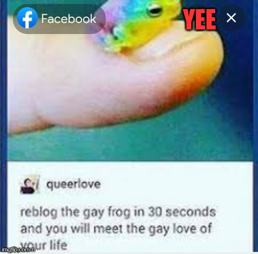 its been wayyy more than 30 secs lol | YEE | image tagged in lgbtq,stop reading the tags,oh wow are you actually reading these tags,still reading are you,ok then,amogus | made w/ Imgflip meme maker
