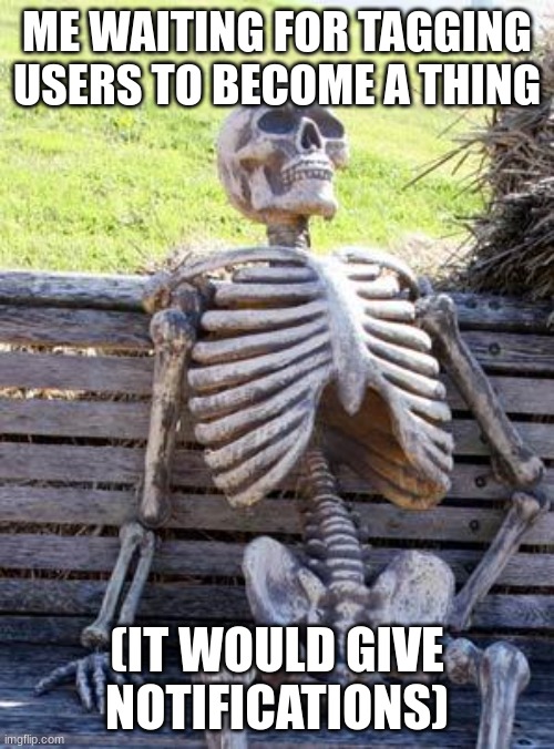 Waiting Skeleton Meme | ME WAITING FOR TAGGING USERS TO BECOME A THING; (IT WOULD GIVE NOTIFICATIONS) | image tagged in memes,waiting skeleton | made w/ Imgflip meme maker