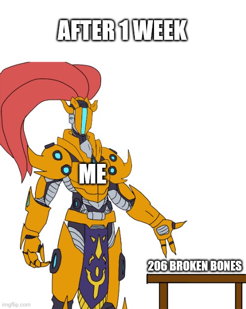 Yharim showing stuff | ME 206 BROKEN BONES AFTER 1 WEEK | image tagged in yharim showing stuff | made w/ Imgflip meme maker