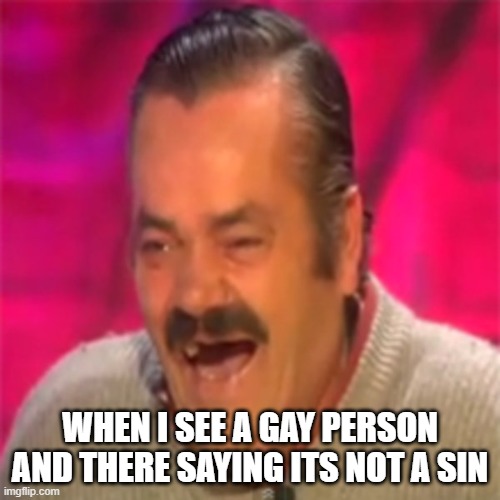 Laughing Mexican | WHEN I SEE A GAY PERSON AND THERE SAYING ITS NOT A SIN | image tagged in laughing mexican | made w/ Imgflip meme maker