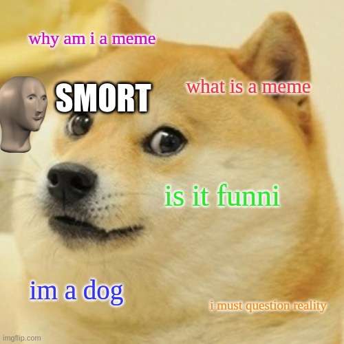 smort doggo | why am i a meme; SMORT; what is a meme; is it funni; im a dog; i must question reality | image tagged in memes,doge | made w/ Imgflip meme maker