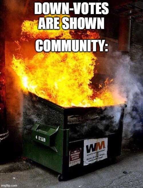 Dumpster Fire | DOWN-VOTES ARE SHOWN; COMMUNITY: | image tagged in dumpster fire,funny memes | made w/ Imgflip meme maker