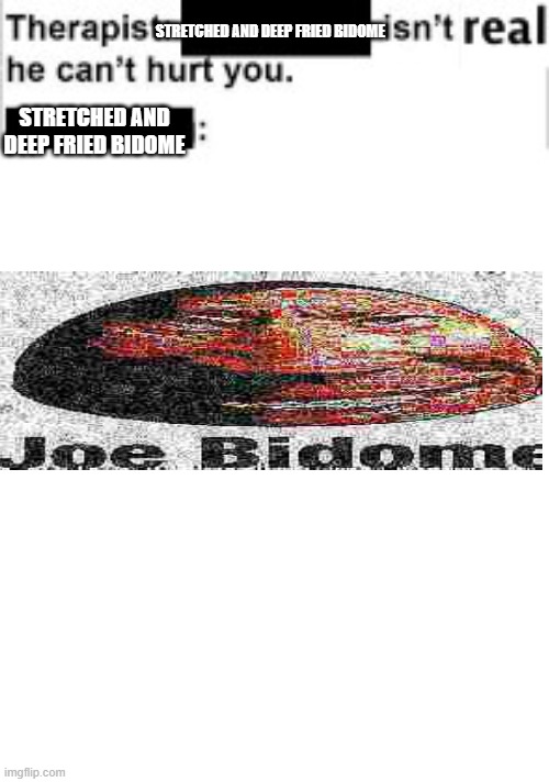 lmao | STRETCHED AND DEEP FRIED BIDOME; STRETCHED AND DEEP FRIED BIDOME | image tagged in it cant hurt you | made w/ Imgflip meme maker