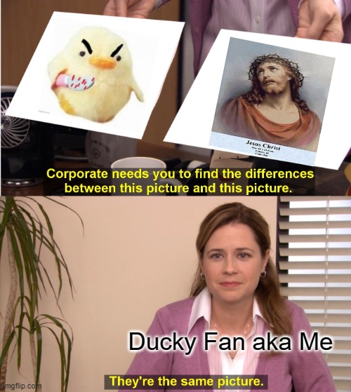 I am going to start to post more Ducky memes very soon. | Ducky Fan aka Me | image tagged in memes,they're the same picture,duck | made w/ Imgflip meme maker