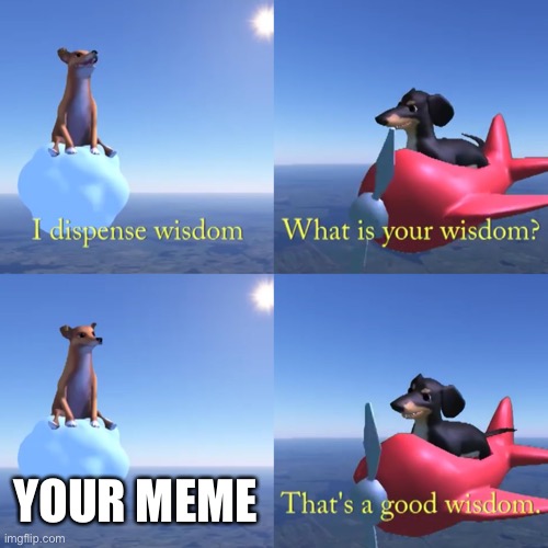 That's a good wisdom | YOUR MEME | image tagged in that's a good wisdom | made w/ Imgflip meme maker