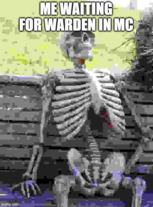 1.19 now plz | ME WAITING FOR WARDEN IN MC | image tagged in memes,waiting skeleton,minecraft | made w/ Imgflip meme maker