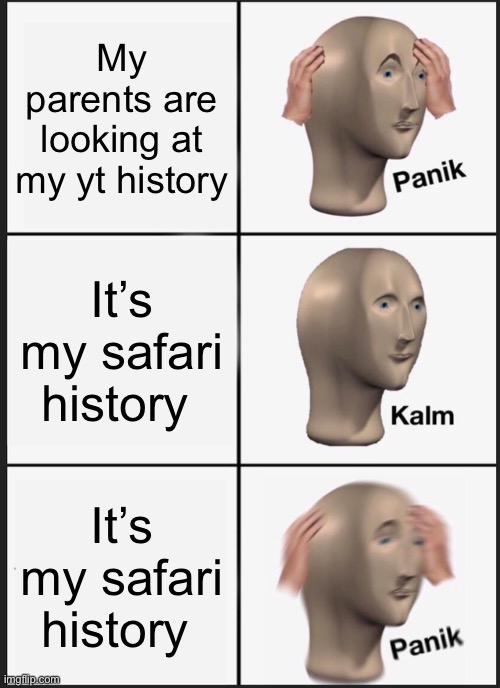Safari history | My parents are looking at my yt history; It’s my safari history; It’s my safari history | image tagged in memes,panik kalm panik,history,google search,search history | made w/ Imgflip meme maker