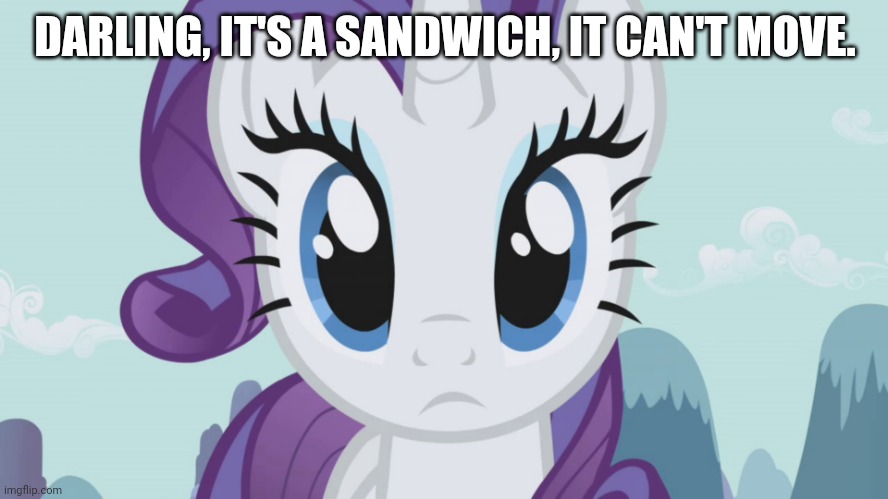 Stareful Rarity (MLP) | DARLING, IT'S A SANDWICH, IT CAN'T MOVE. | image tagged in stareful rarity mlp | made w/ Imgflip meme maker