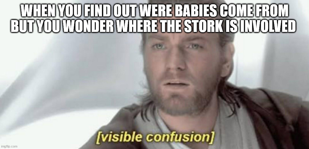 Visible Confusion | WHEN YOU FIND OUT WERE BABIES COME FROM BUT YOU WONDER WHERE THE STORK IS INVOLVED | image tagged in visible confusion | made w/ Imgflip meme maker