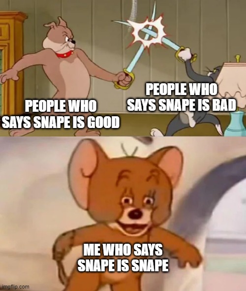 Tom and Spike fighting | PEOPLE WHO SAYS SNAPE IS BAD; PEOPLE WHO SAYS SNAPE IS GOOD; ME WHO SAYS SNAPE IS SNAPE | image tagged in tom and spike fighting | made w/ Imgflip meme maker