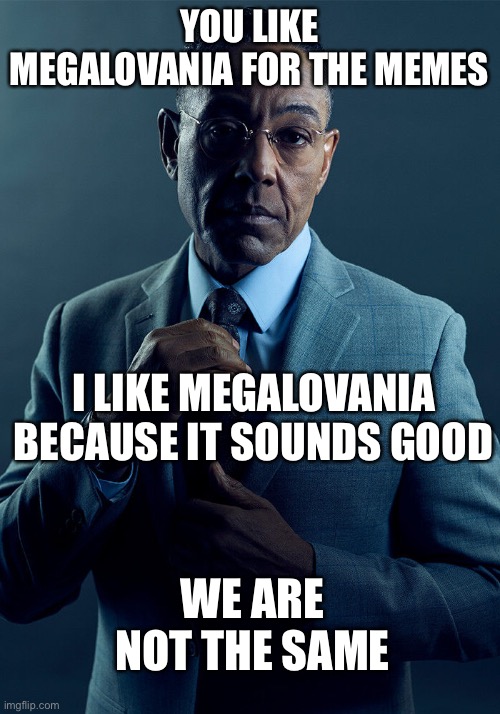 Megalovania | YOU LIKE MEGALOVANIA FOR THE MEMES; I LIKE MEGALOVANIA BECAUSE IT SOUNDS GOOD; WE ARE NOT THE SAME | image tagged in gus fring we are not the same,megalovania,memes,song | made w/ Imgflip meme maker