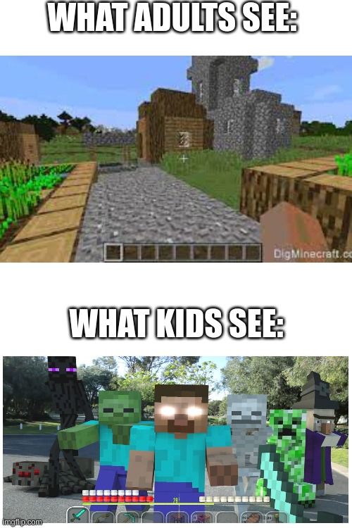 What adults see What kids see | WHAT ADULTS SEE:; WHAT KIDS SEE: | image tagged in blank white template | made w/ Imgflip meme maker