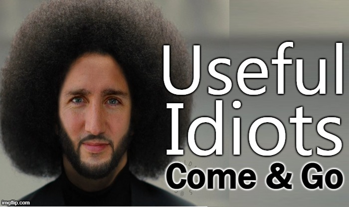 Useful; Idiots; Come & Go | made w/ Imgflip meme maker