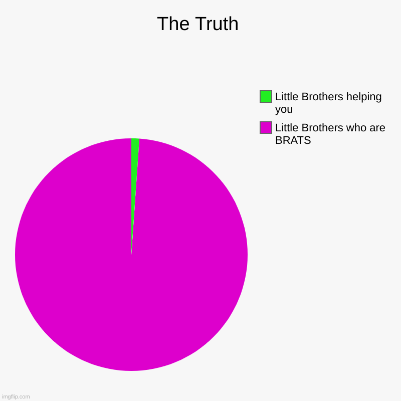 The Truth | Little Brothers who are BRATS, Little Brothers helping you | image tagged in charts,pie charts | made w/ Imgflip chart maker