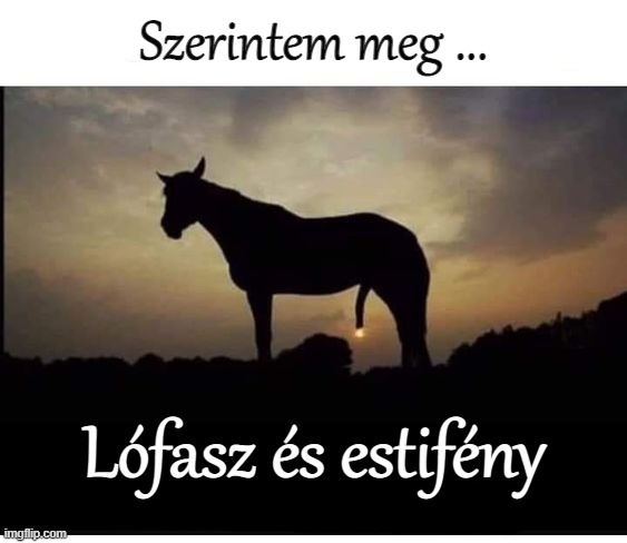 Szerintem meg ... Lófasz és estifény | made w/ Imgflip meme maker