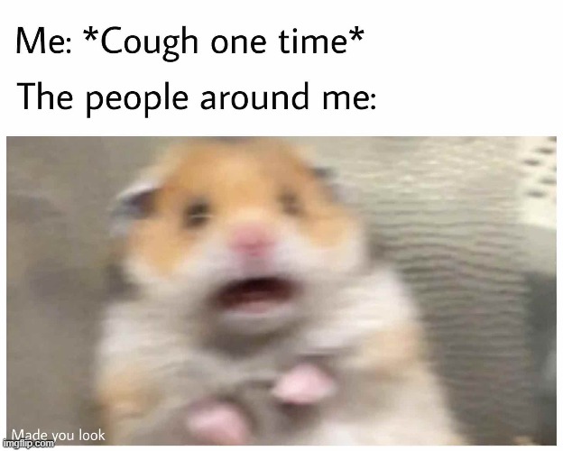 lol | made w/ Imgflip meme maker