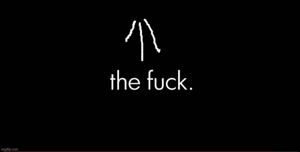 the fuck | image tagged in the fuck | made w/ Imgflip meme maker