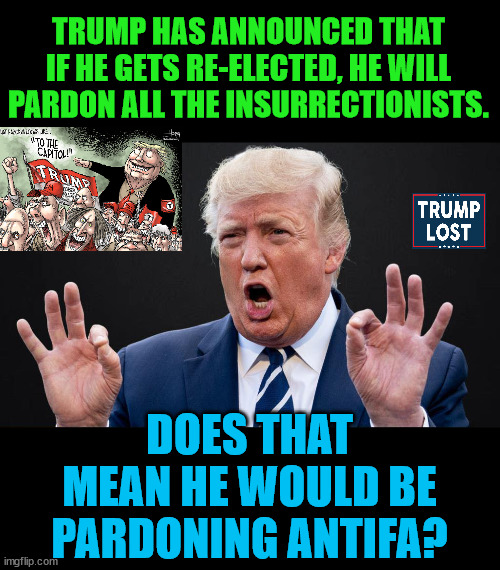 I thought AntiFa was responsible for the Insurrection.  Hmmm. | TRUMP HAS ANNOUNCED THAT IF HE GETS RE-ELECTED, HE WILL PARDON ALL THE INSURRECTIONISTS. DOES THAT MEAN HE WOULD BE PARDONING ANTIFA? | image tagged in trump lost,j4j6,insurrection,pancakes | made w/ Imgflip meme maker