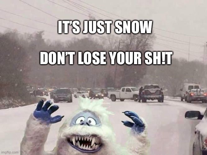 Just snow | IT’S JUST SNOW; DON’T LOSE YOUR SH!T | image tagged in ohio drivers,car crashes,adulting is hard | made w/ Imgflip meme maker