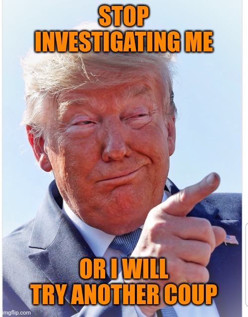 Stop the squeal | STOP INVESTIGATING ME; OR I WILL TRY ANOTHER COUP | image tagged in trump pointing | made w/ Imgflip meme maker