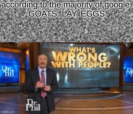 Goats DONT lay eggs | according to the majority of google,
 GOATS. LAY. EGGS. | image tagged in dr phil what's wrong with people | made w/ Imgflip meme maker