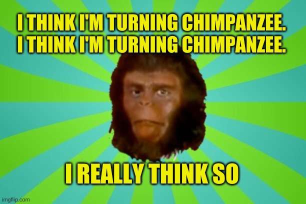 Planet of Cornelius |  I THINK I'M TURNING CHIMPANZEE.
I THINK I'M TURNING CHIMPANZEE. I REALLY THINK SO | image tagged in planet of cornelius,planet of the apes,japanese,meanwhile in japan,roll safe think about it,coincidence i think not | made w/ Imgflip meme maker