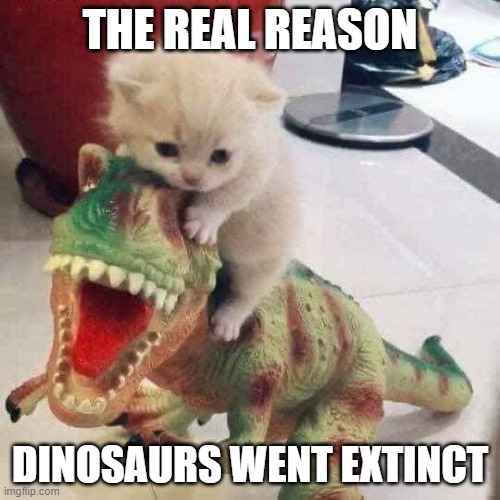 the real reason dinosaurs went extinct is kittens | THE REAL REASON; DINOSAURS WENT EXTINCT | image tagged in kittens,dinosaur | made w/ Imgflip meme maker