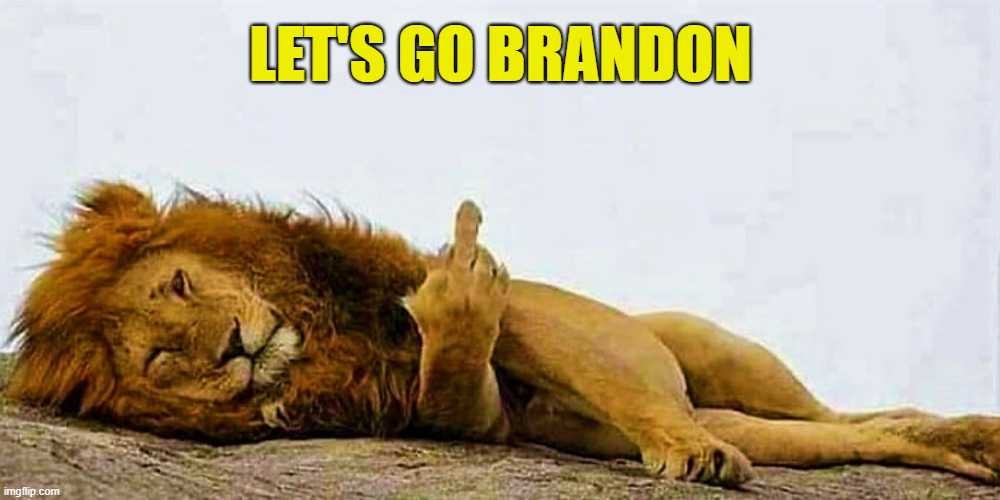flipping lion | LET'S GO BRANDON | image tagged in political humor,joe biden,brandon,flipping lion,lion,flipping the bird | made w/ Imgflip meme maker